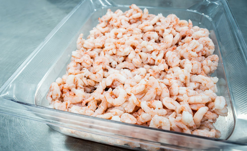 Crevettes nordiques